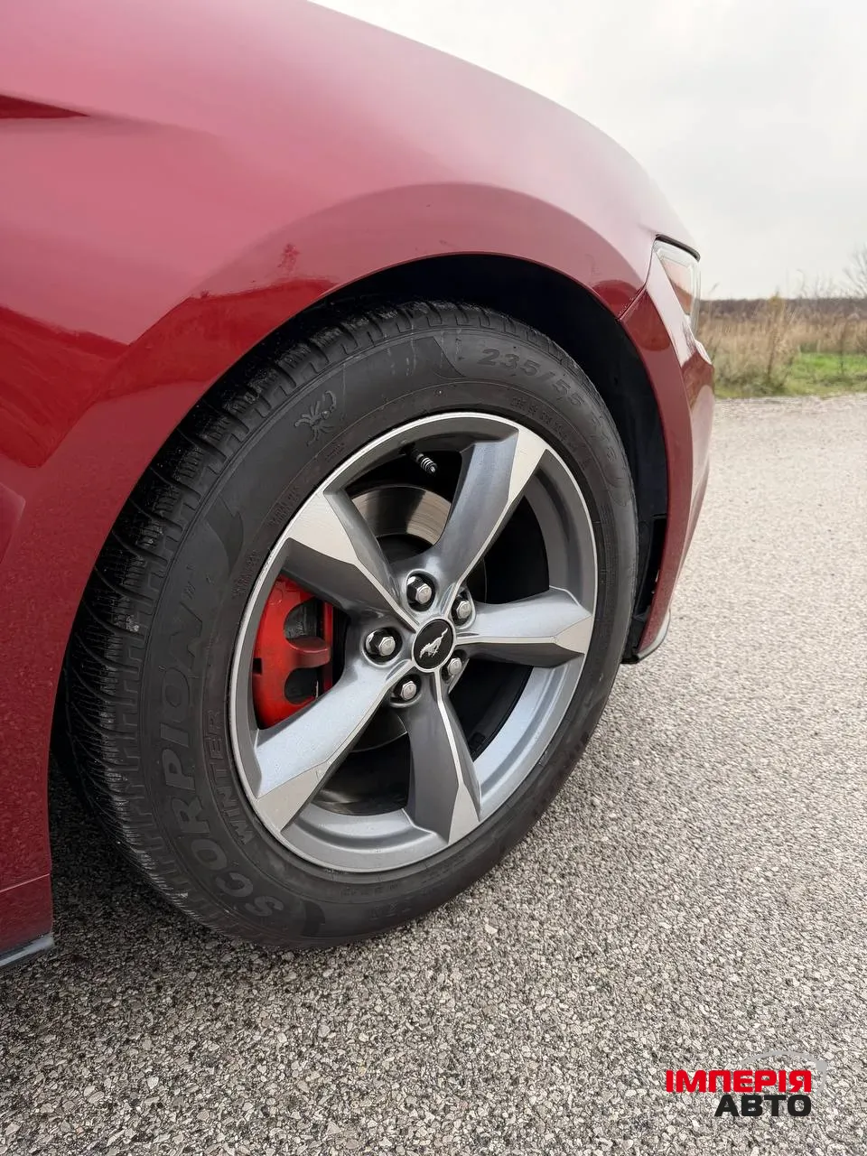 Ford Mustang - фото 10