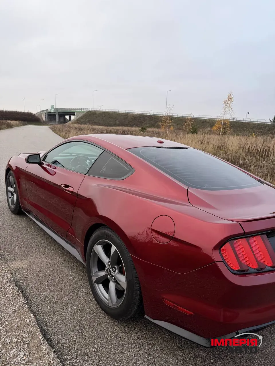 Ford Mustang - фото 25