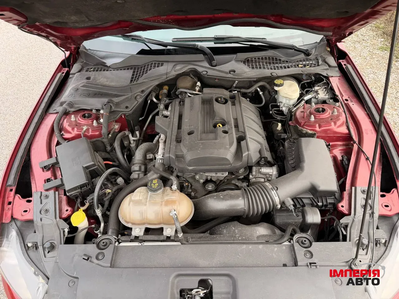 Ford Mustang - фото 8