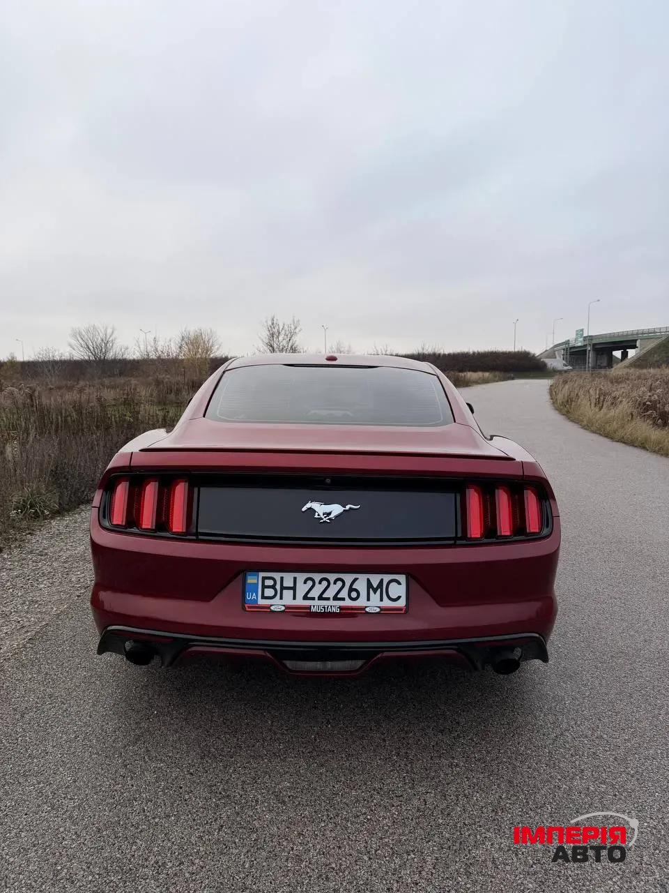 Ford Mustang - фото 27