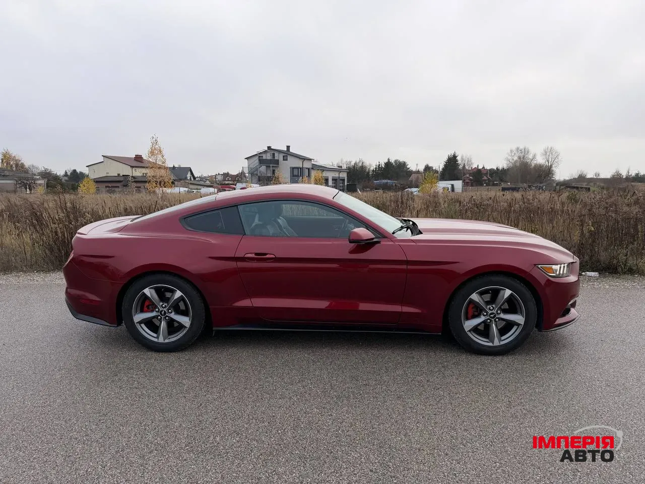 Ford Mustang - фото 30