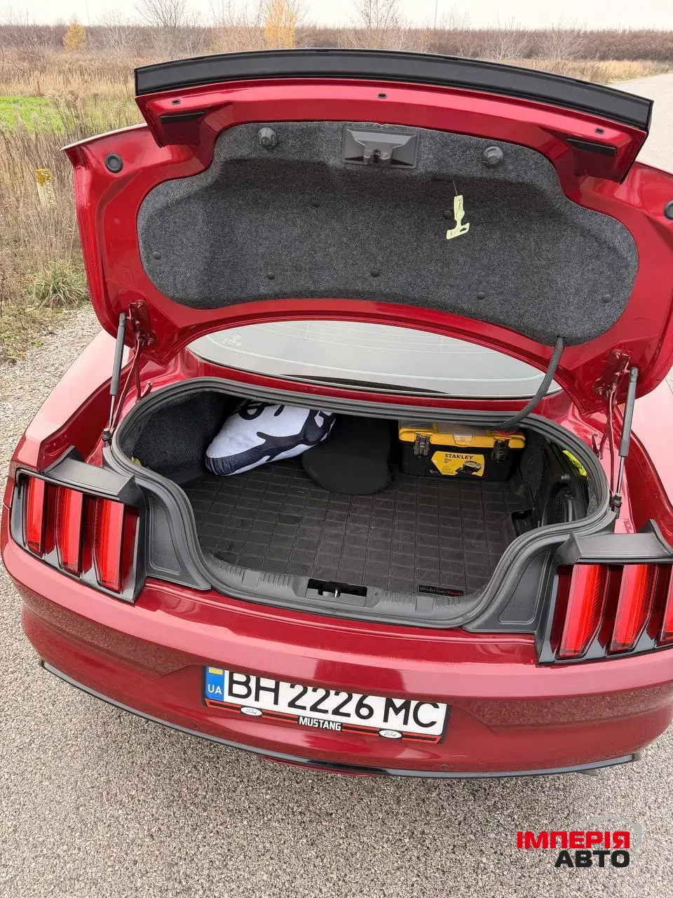 Ford Mustang - фото 12