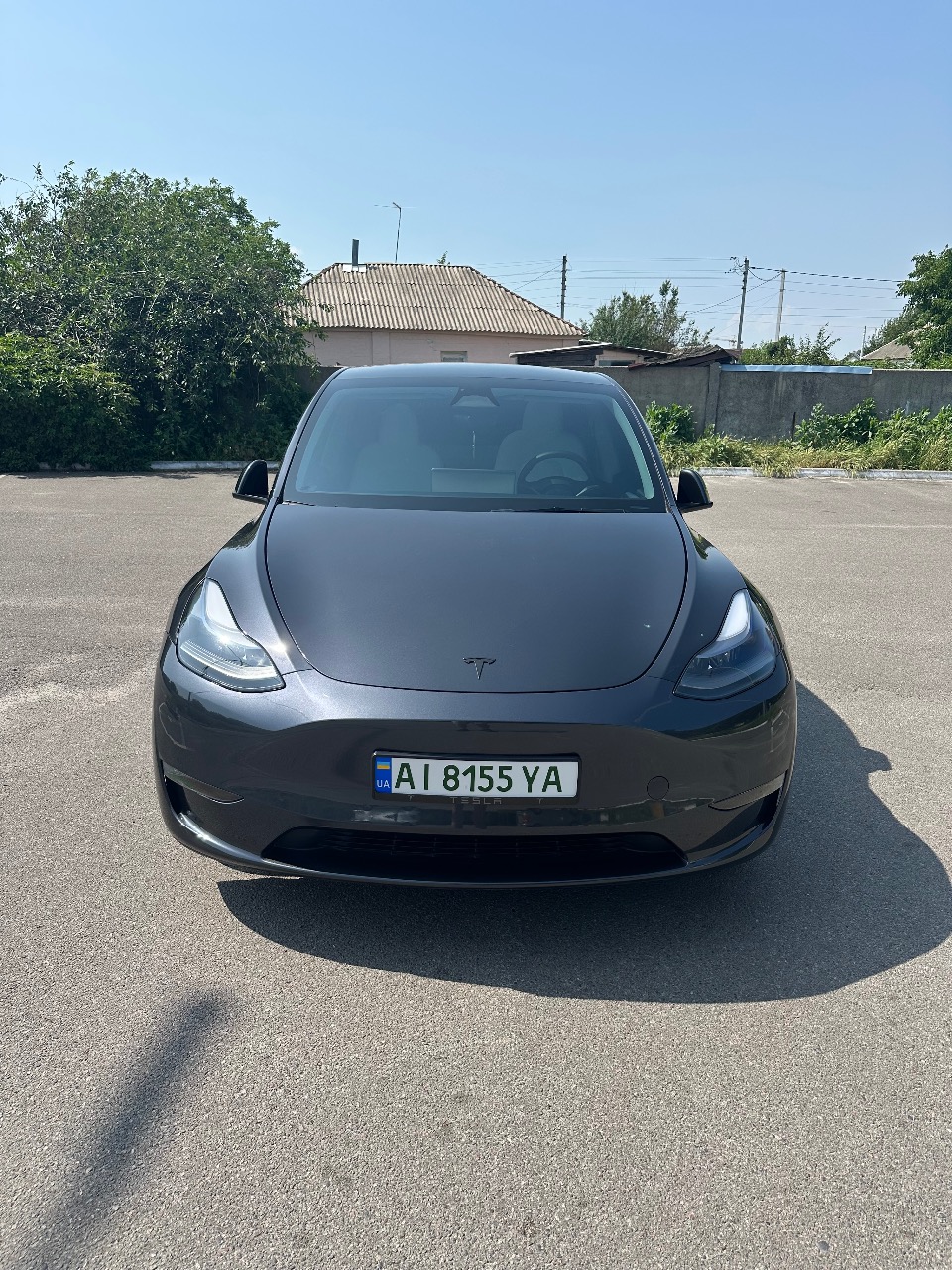 Tesla Model Y - фото 1