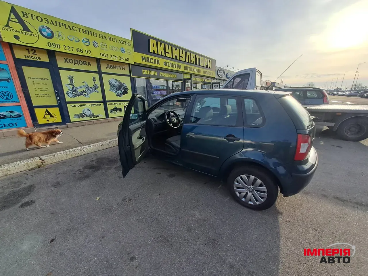 Volkswagen Polo - фото 16