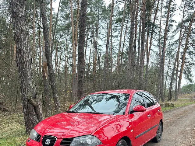 SEAT Ibiza - фото 1