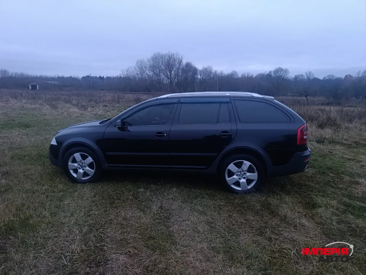 Skoda Octavia - фото 2