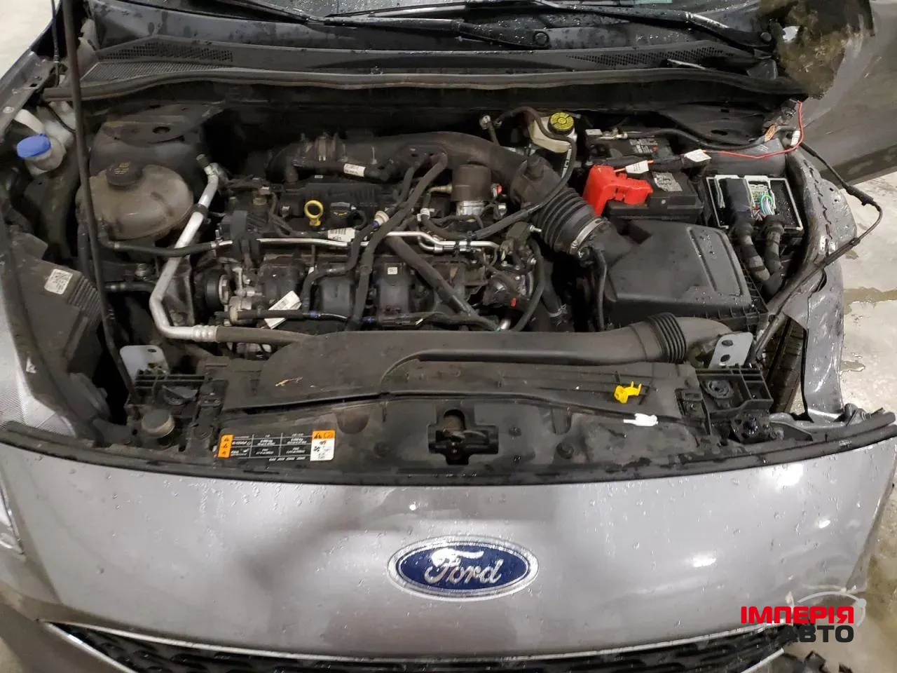 Ford Escape - фото 10