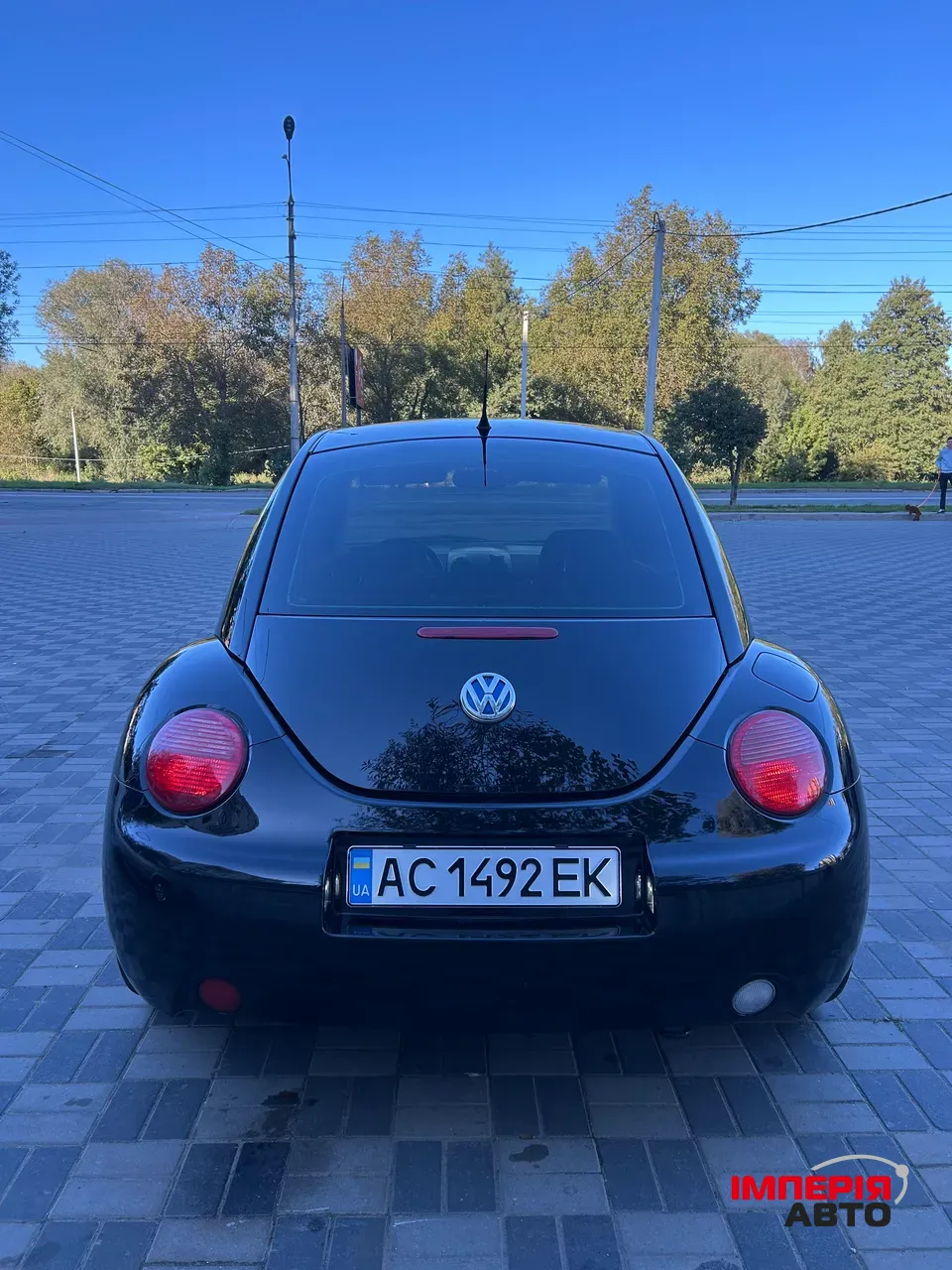 Volkswagen Beetle - фото 12