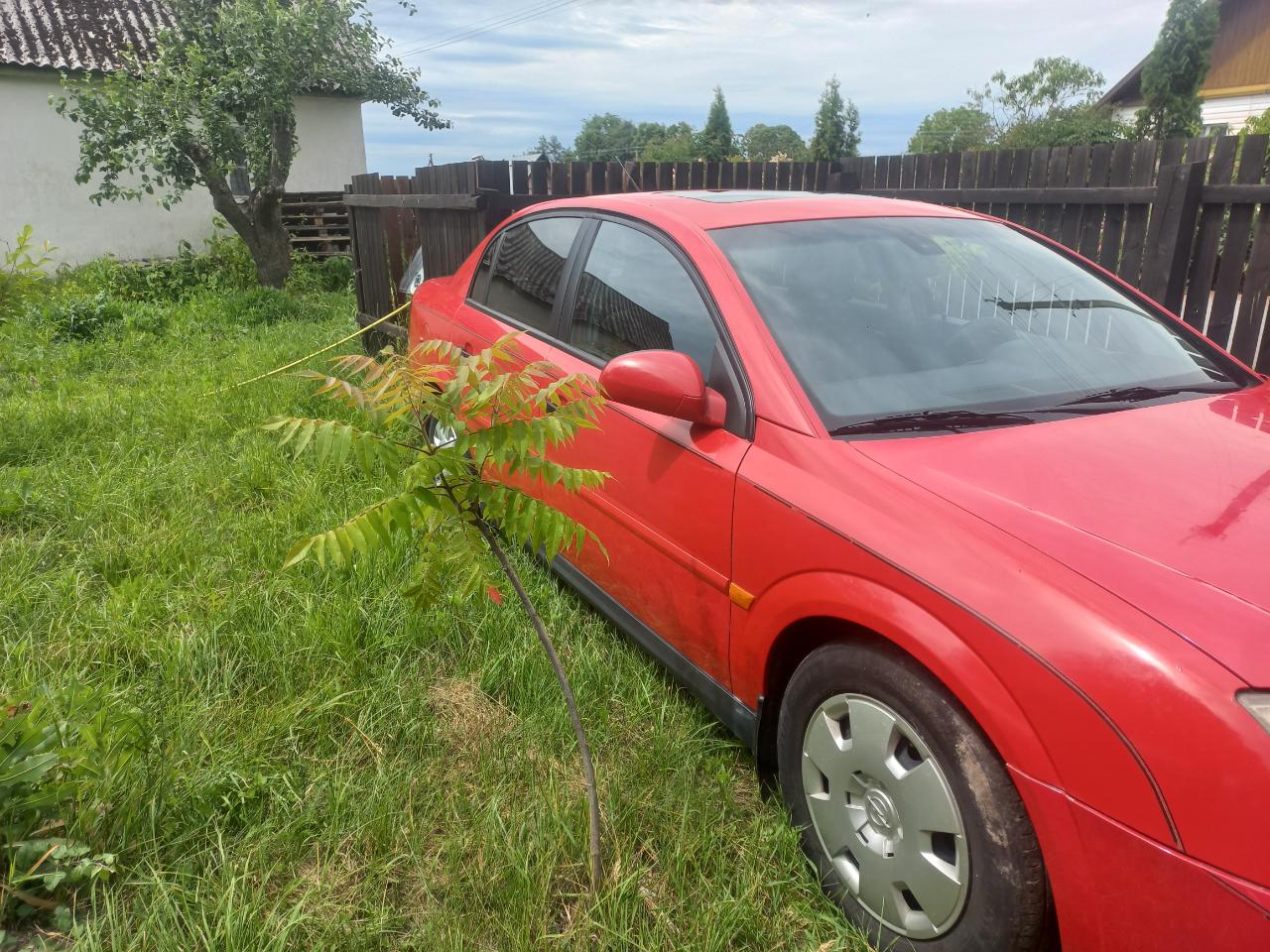 Opel Vectra - фото 4