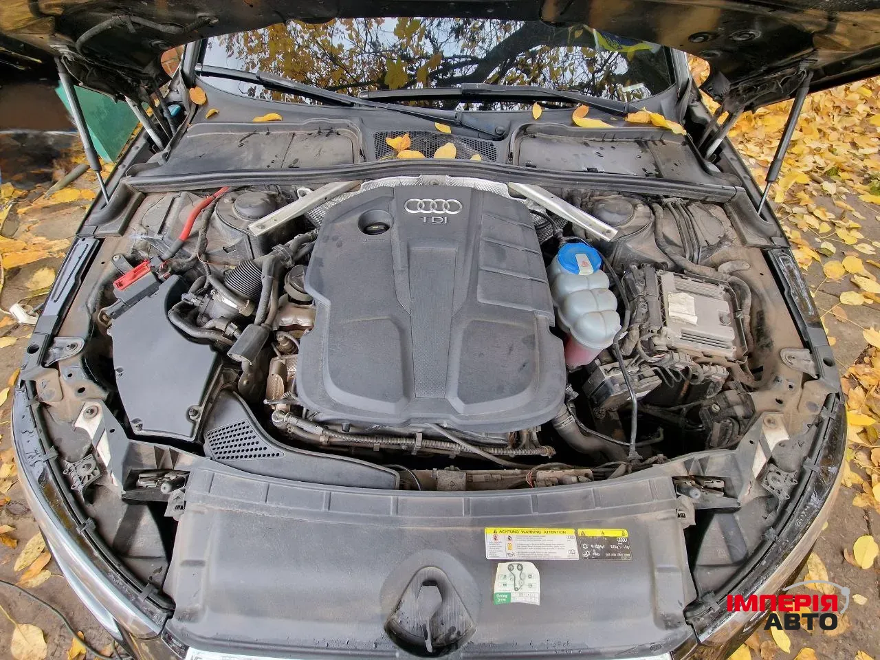 Audi A4 - фото 5