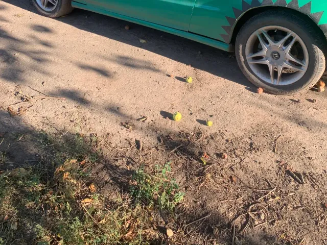 Honda Prelude - фото 2