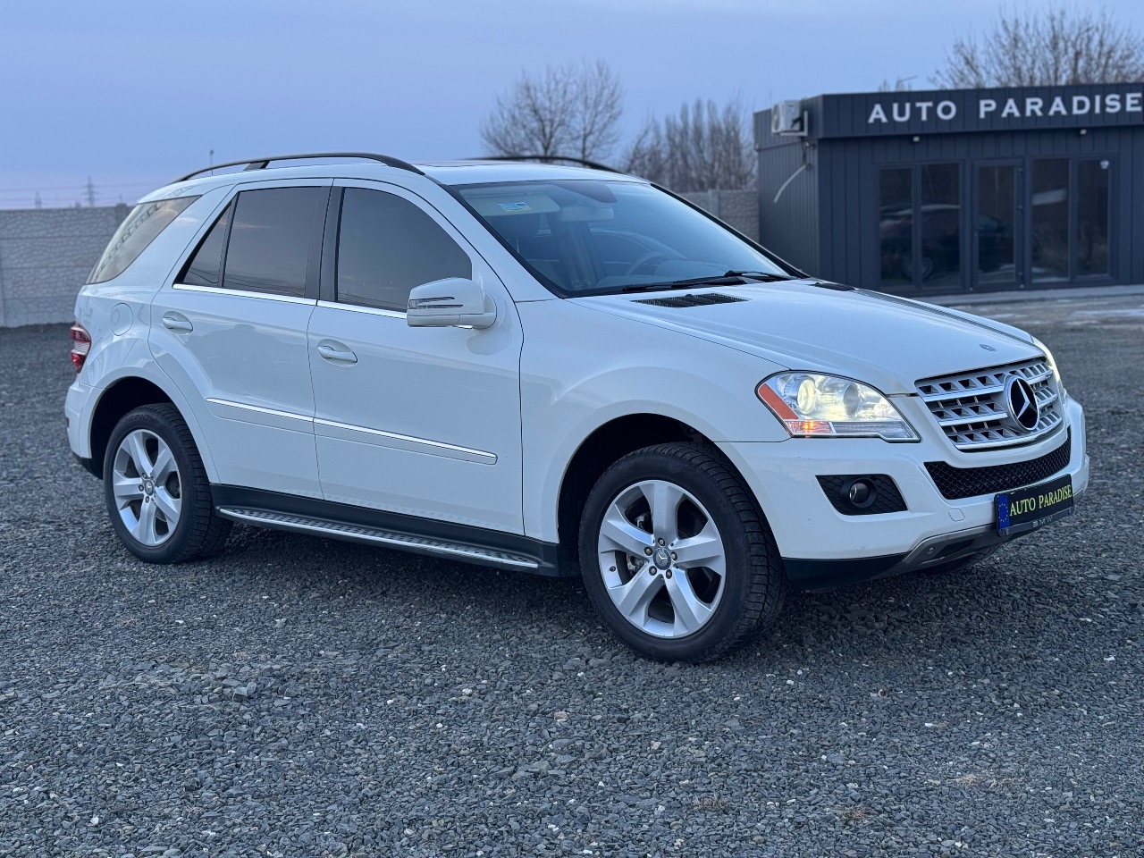 Mercedes-Benz M-Класс - фото 23