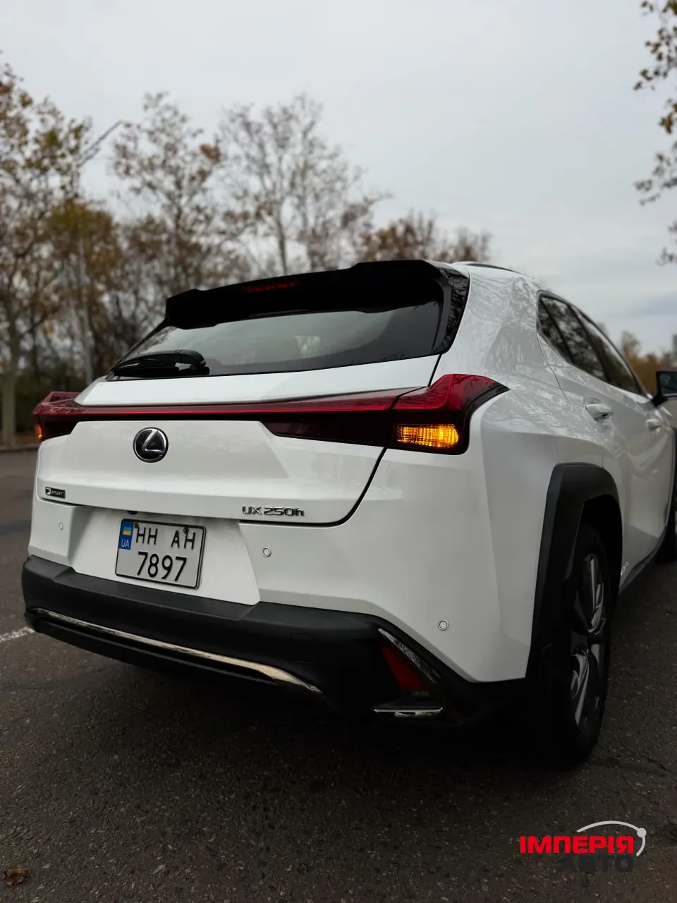 Lexus UX - фото 8