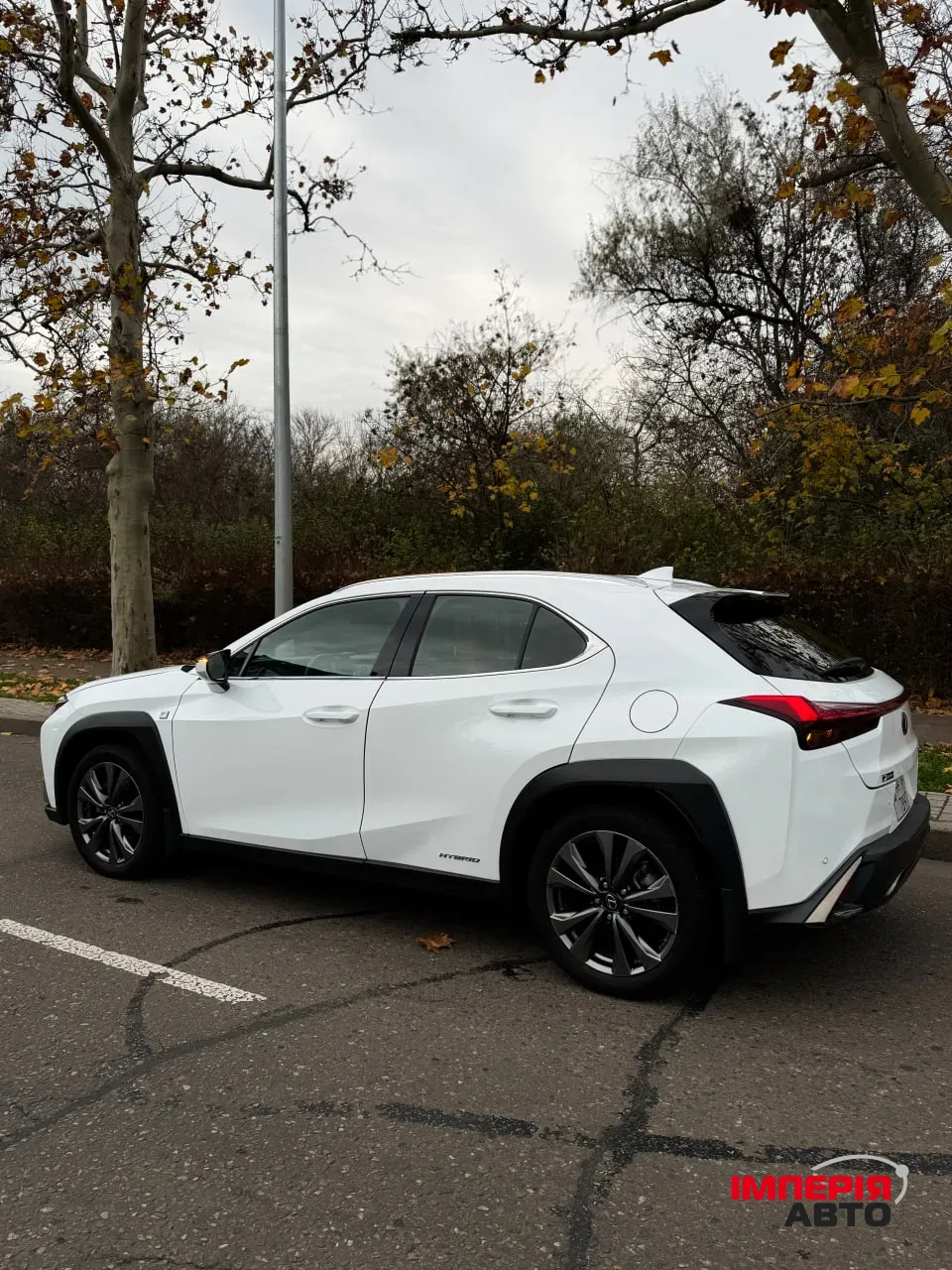 Lexus UX - фото 6