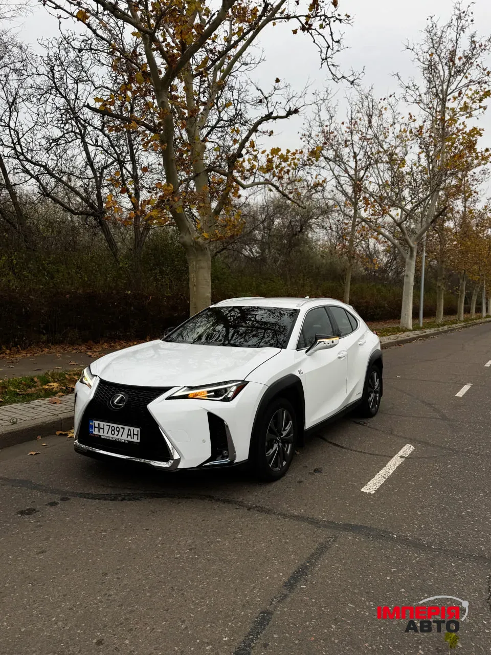Lexus UX - фото 2