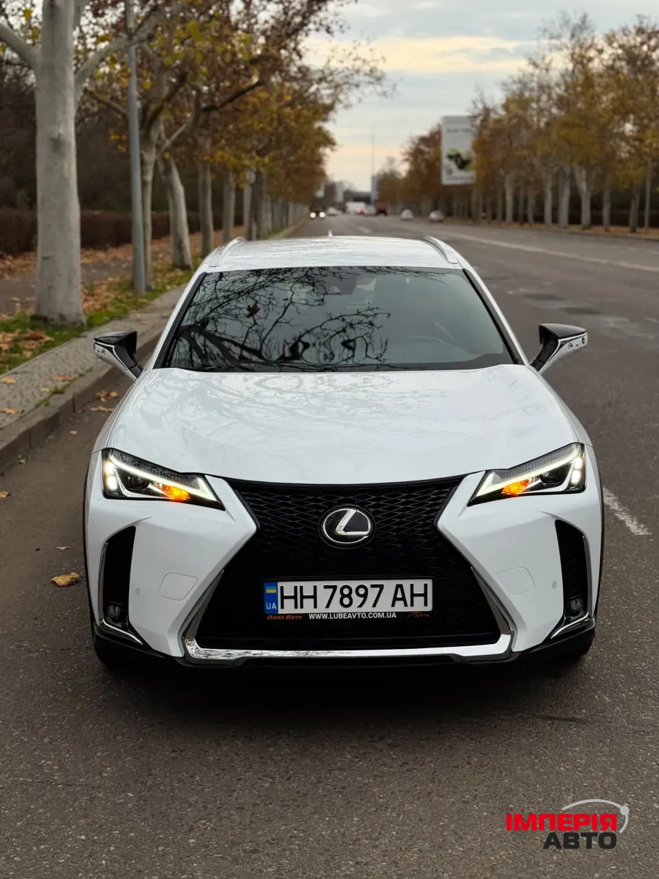 Lexus UX - фото 4