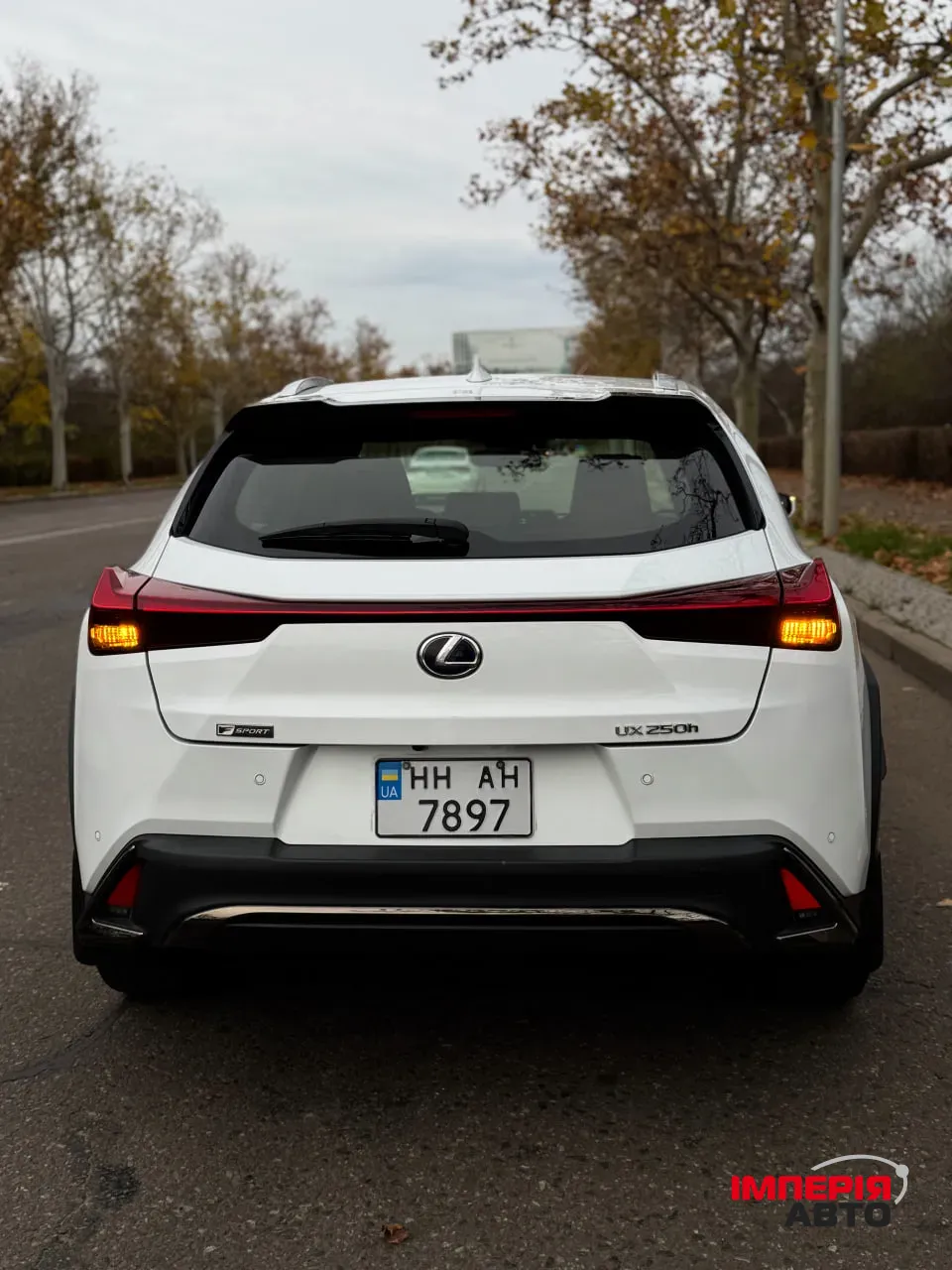 Lexus UX - фото 7