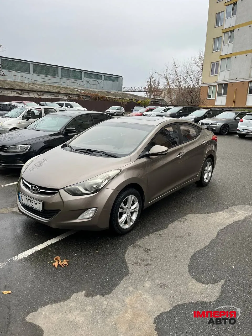 Hyundai Elantra - фото 8