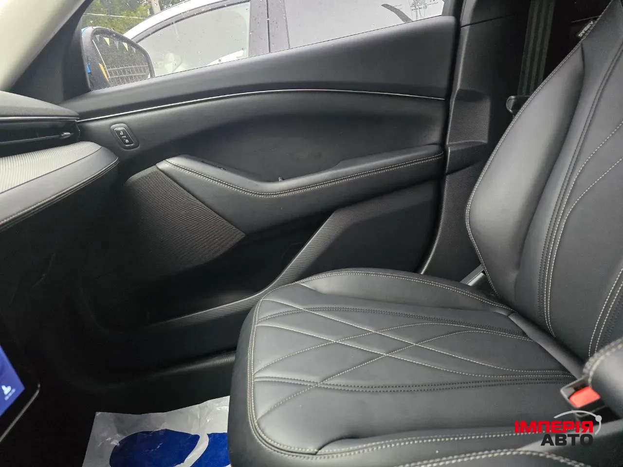 Ford Mustang Mach-E - фото 18