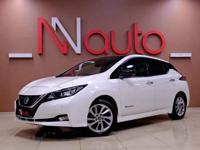 Nissan Leaf - фото 1