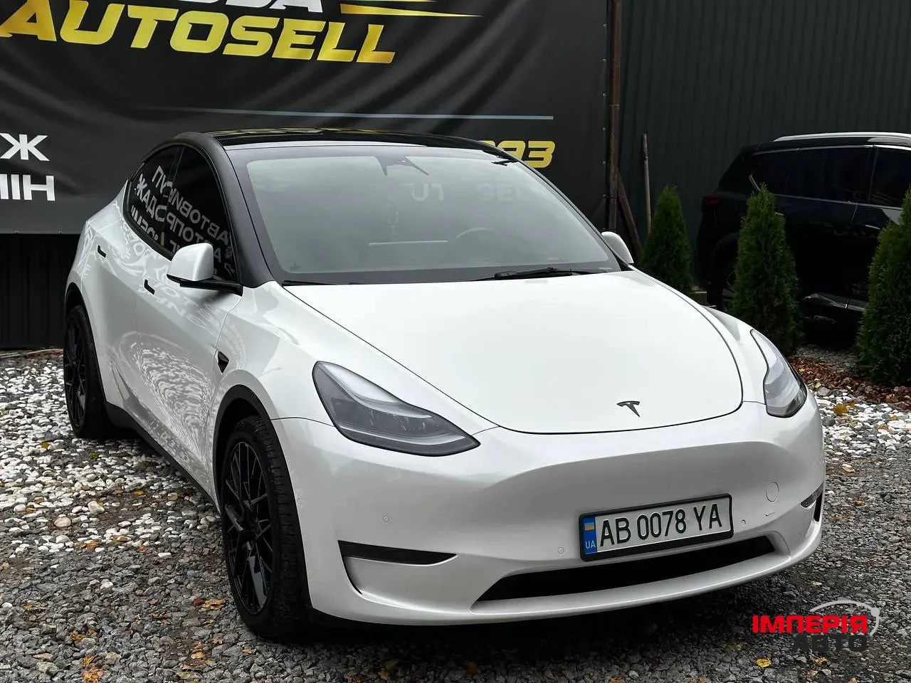 Tesla Model Y - фото 2