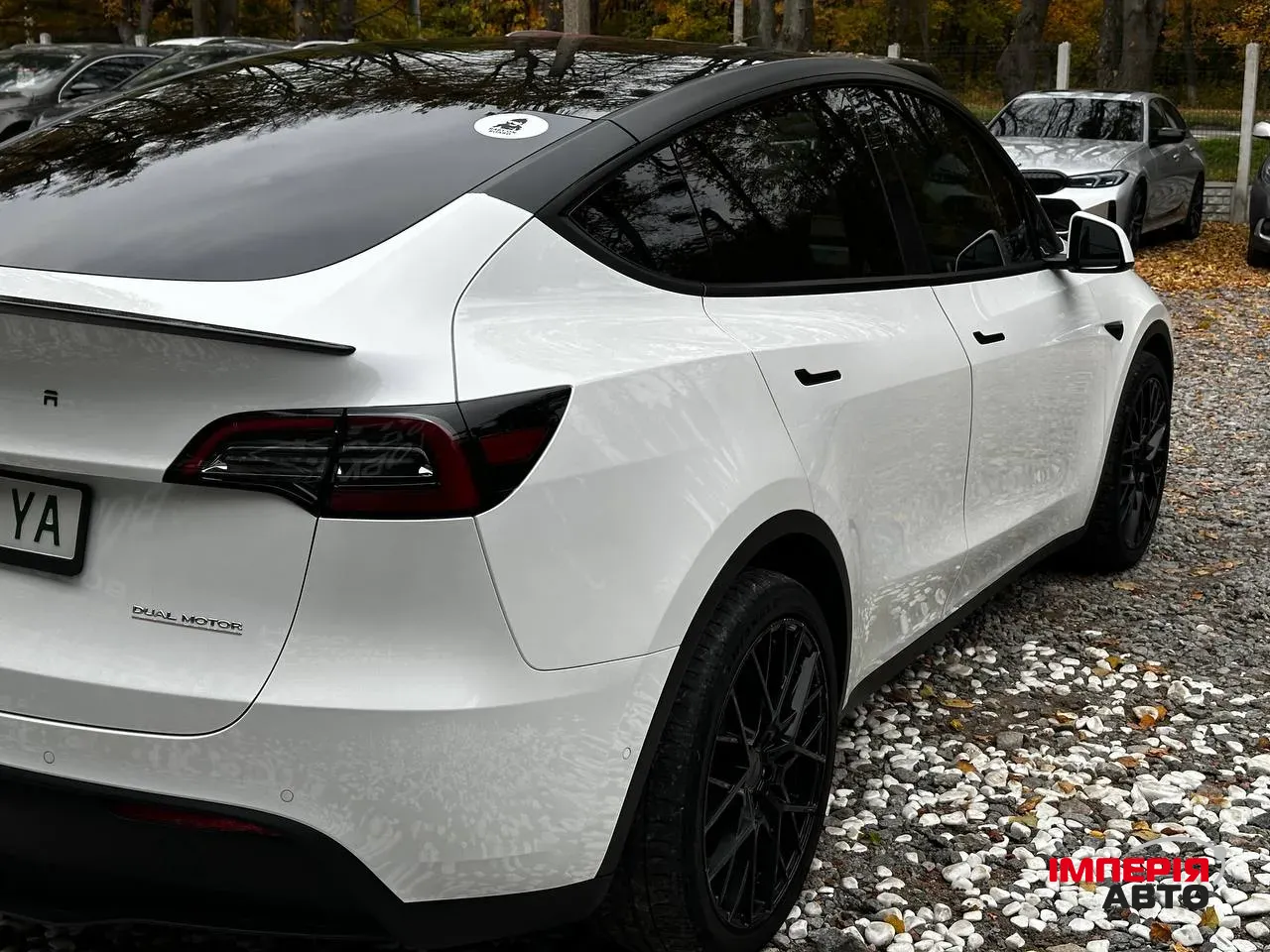 Tesla Model Y - фото 17