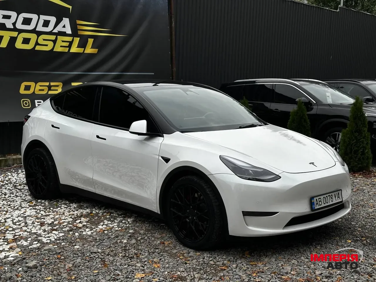 Tesla Model Y - фото 1