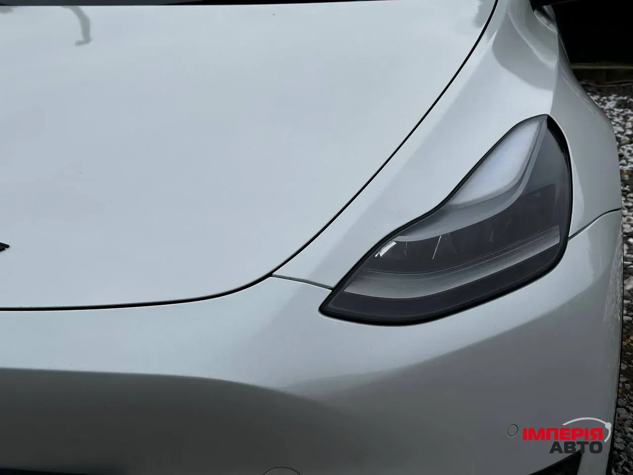Tesla Model Y - фото 6