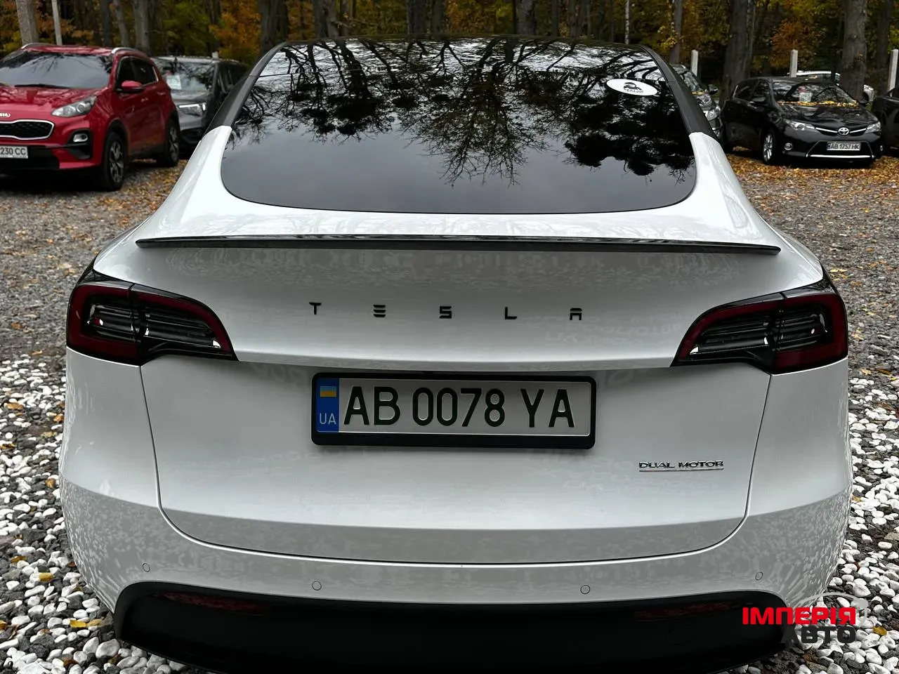 Tesla Model Y - фото 16