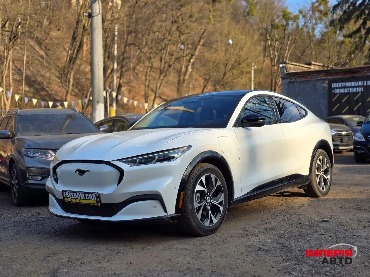 Ford Mustang Mach-E - фото 1