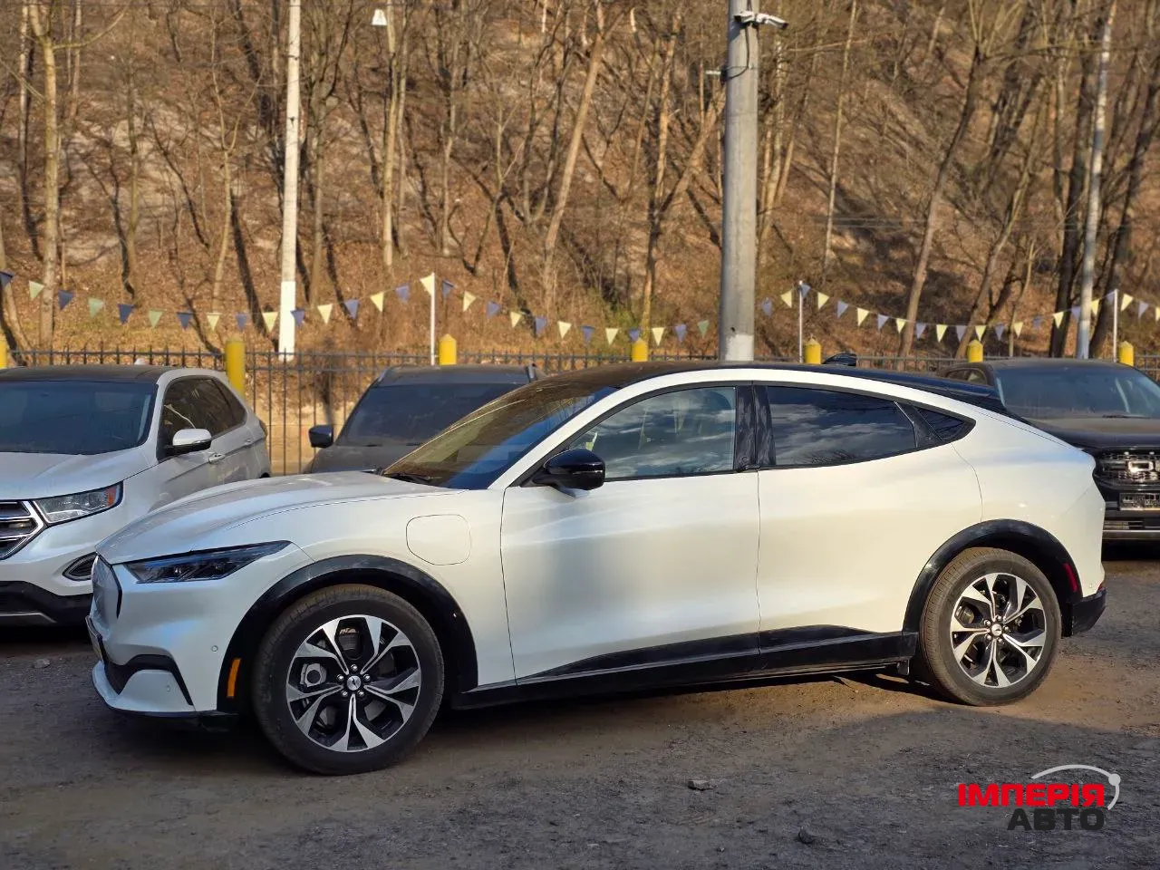 Ford Mustang Mach-E - фото 5