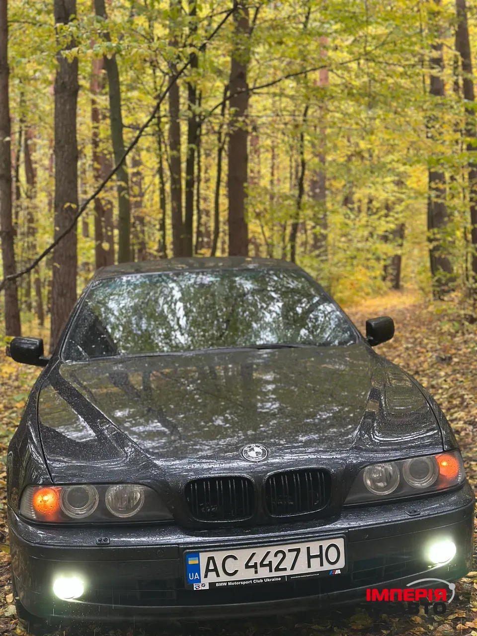 BMW 5 серії - фото 2