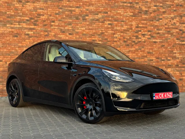 Tesla Model Y - фото 1