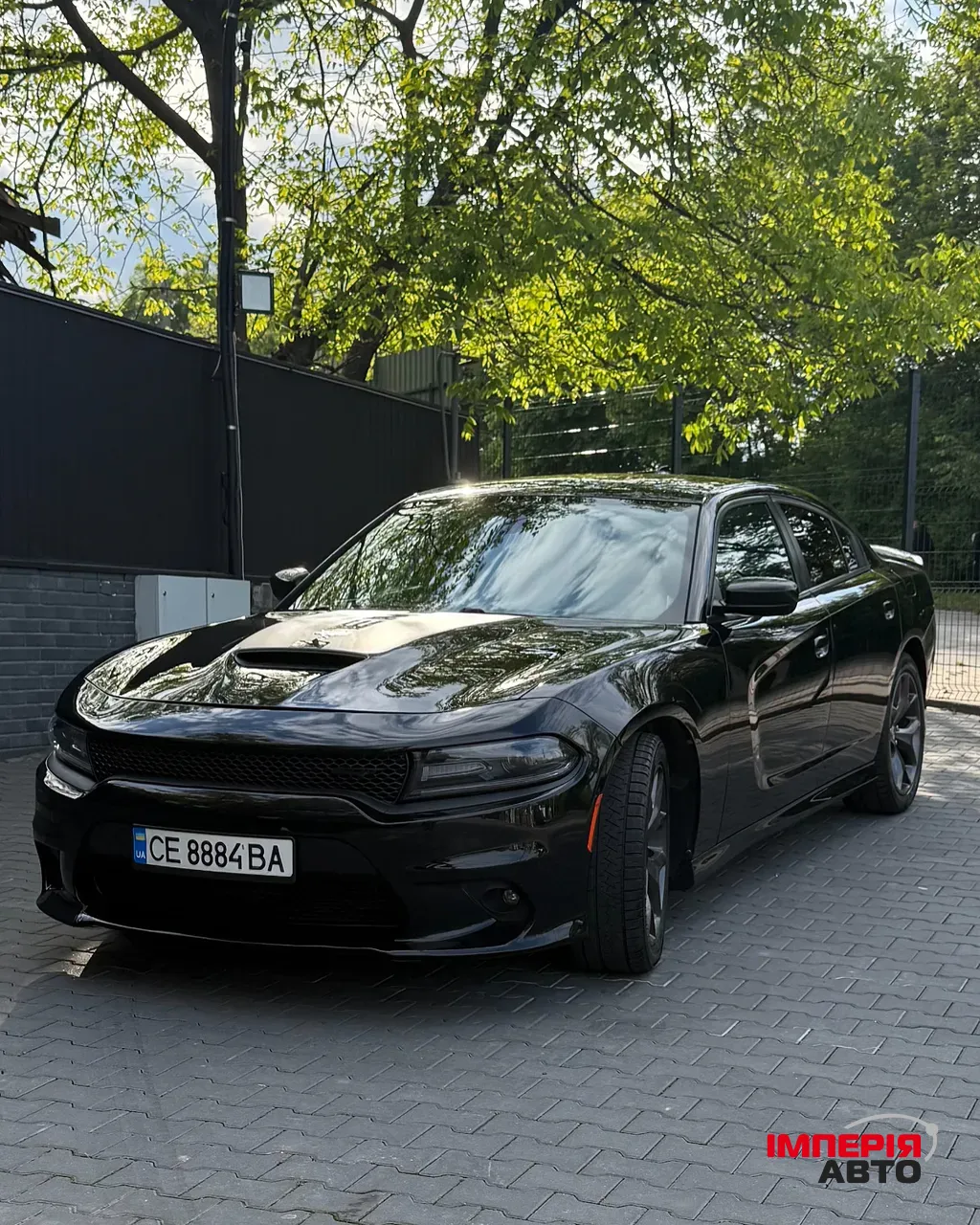 Dodge Charger - фото 1