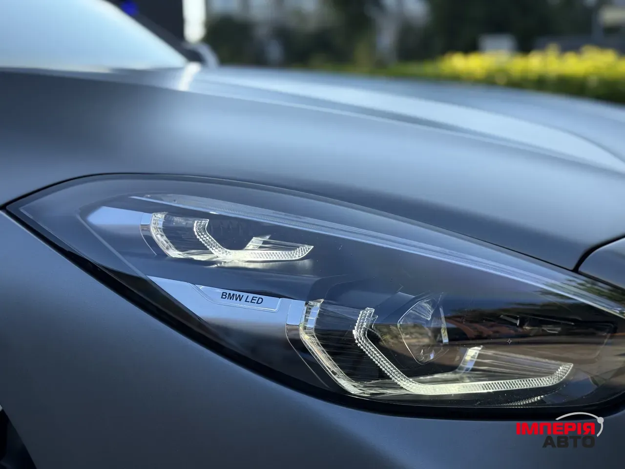 BMW Z4 - фото 14