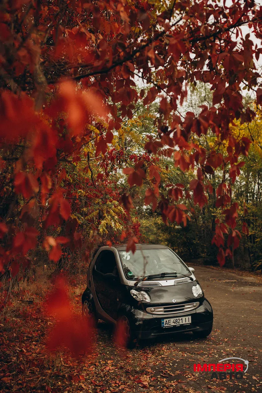 Smart Fortwo - фото 1