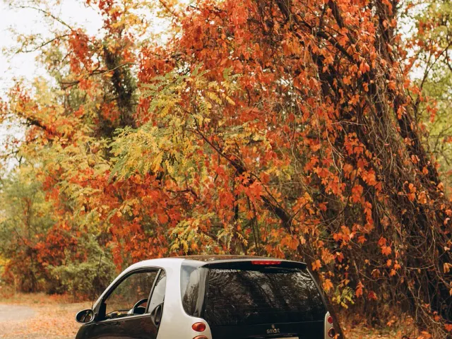 Smart Fortwo - фото 3