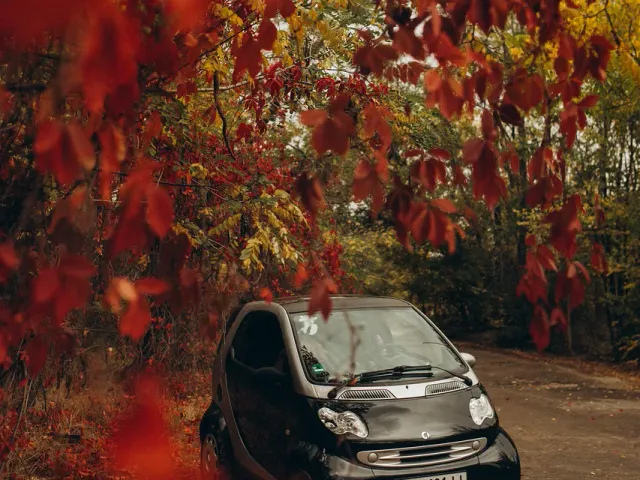 Smart Fortwo - фото 1