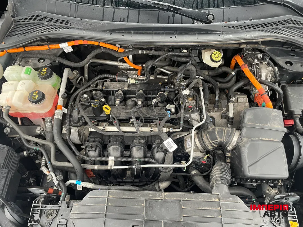 Ford Escape - фото 4