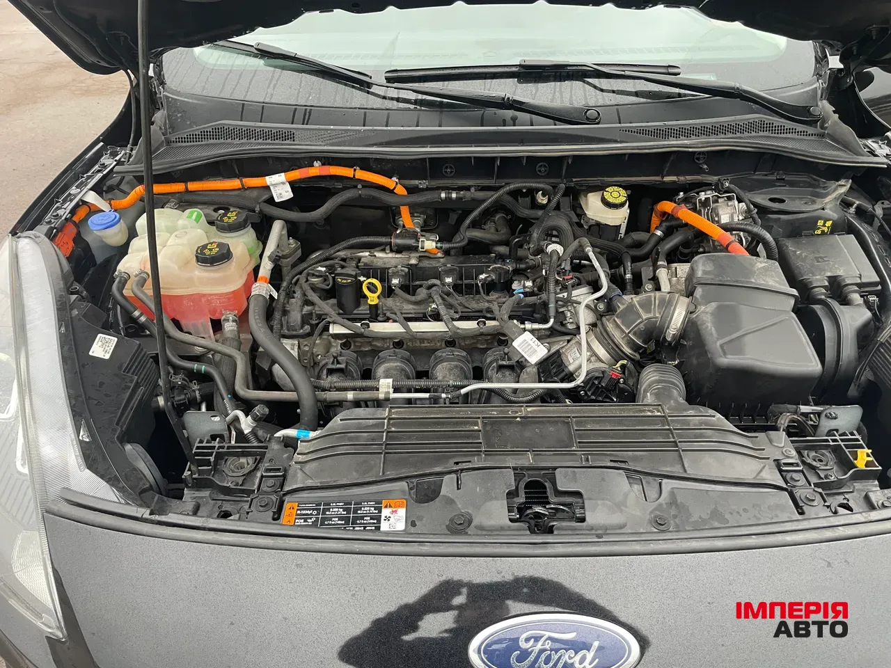 Ford Escape - фото 5