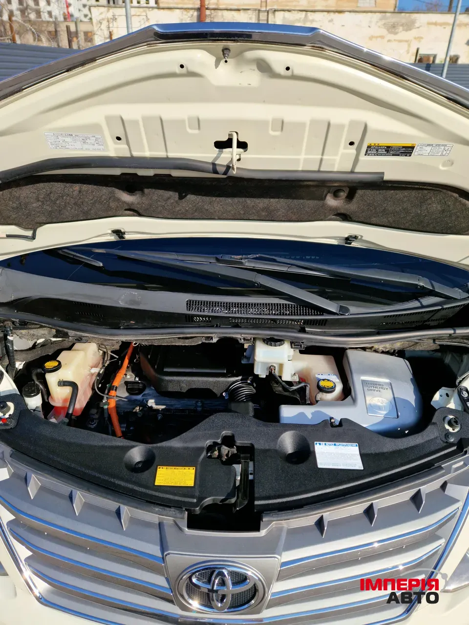 Toyota Alphard - фото 8