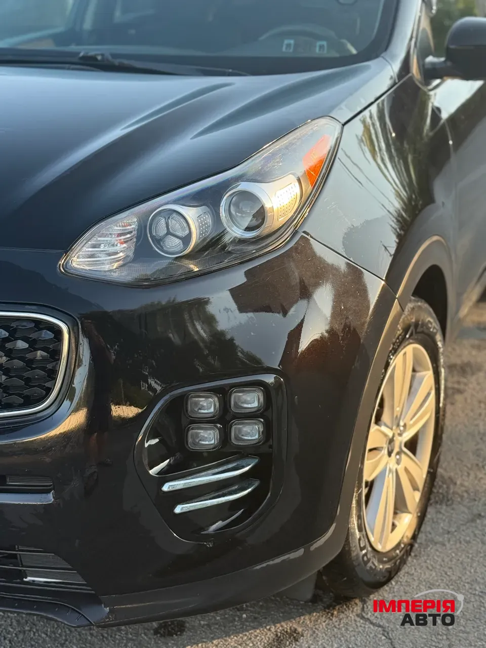 Kia Sportage - фото 5