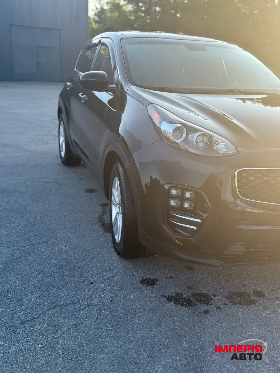 Kia Sportage - фото 4