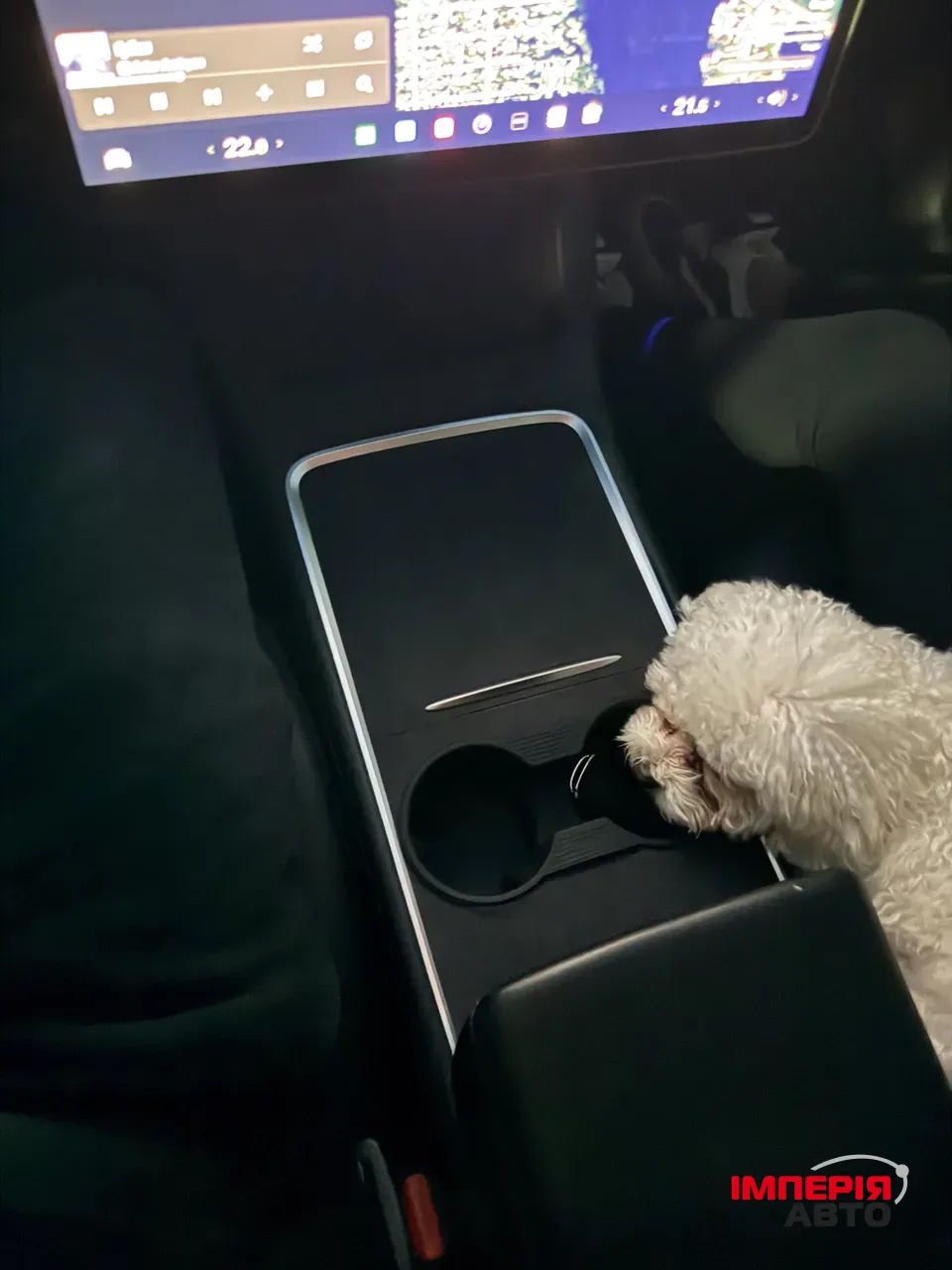 Tesla Model 3 - фото 12