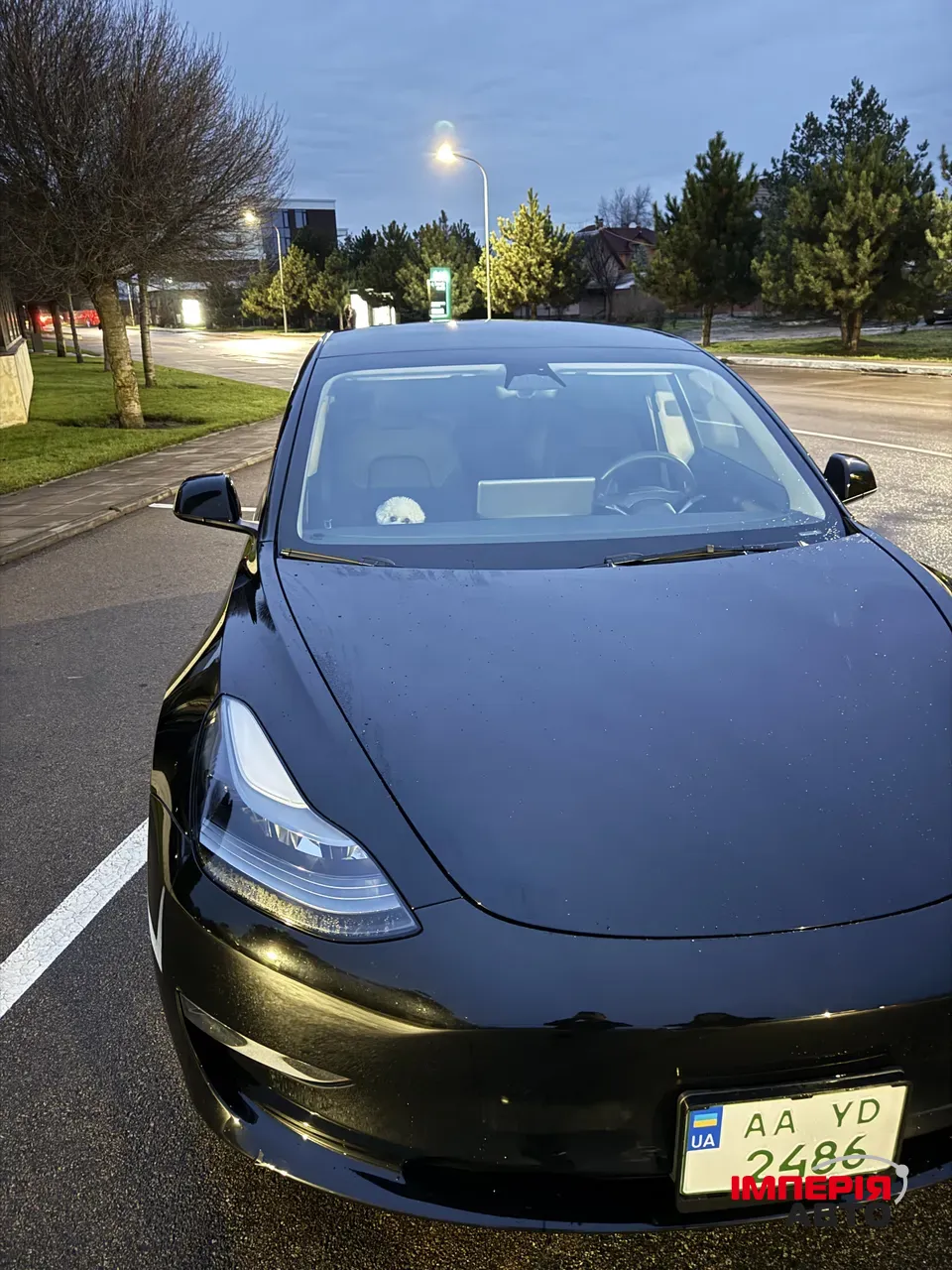 Tesla Model 3 - фото 31