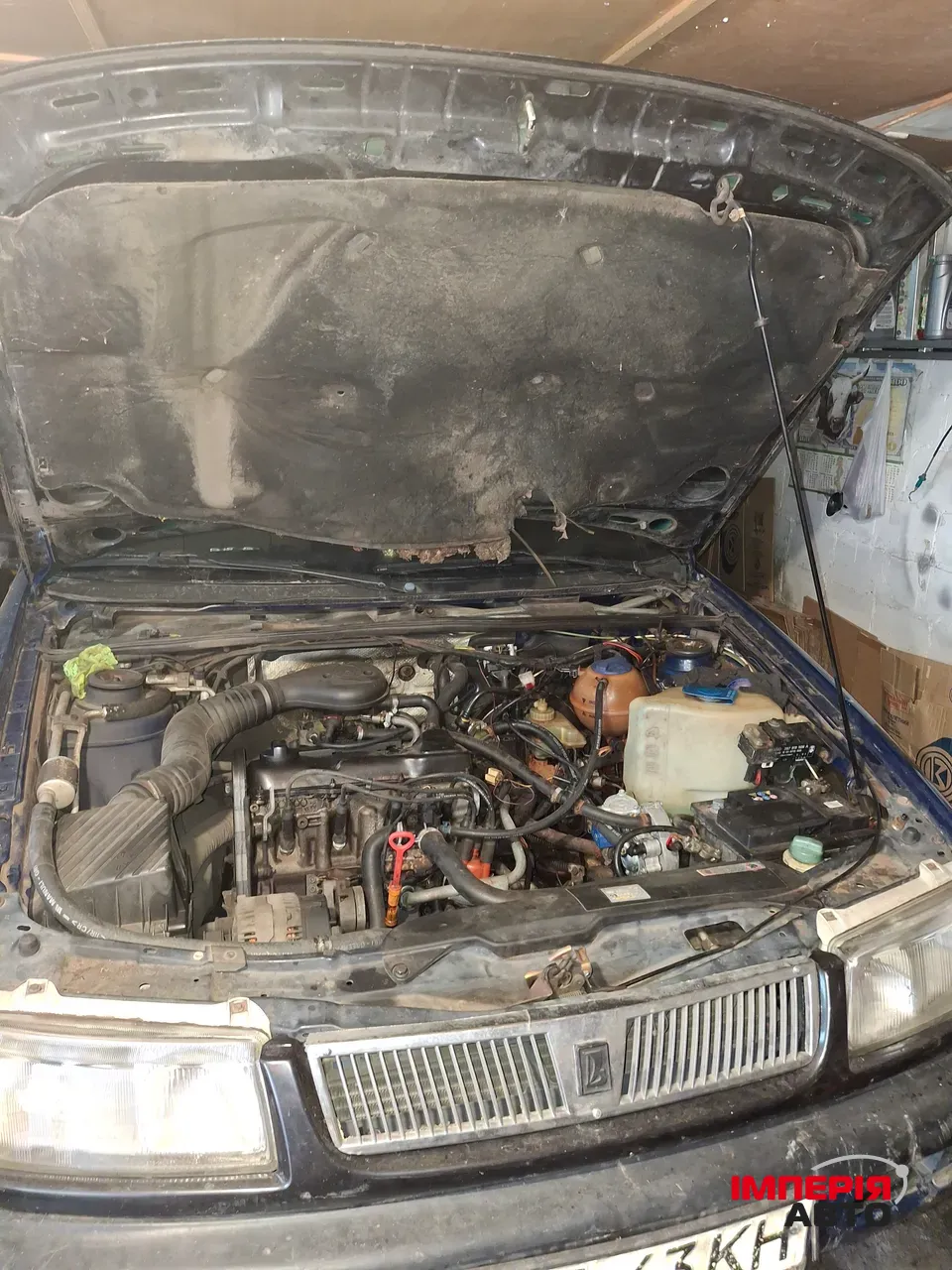 Volkswagen Passat - фото 2