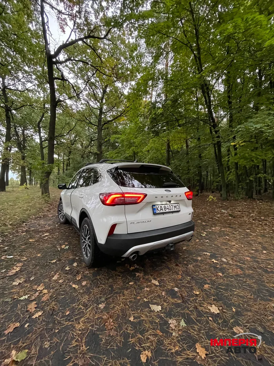 Ford Escape - фото 10