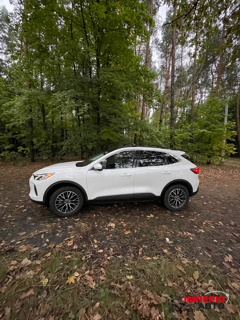 Ford Escape - фото 12