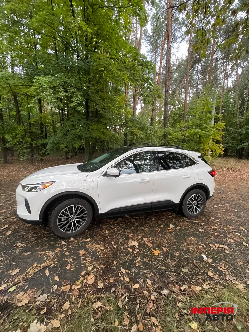 Ford Escape - фото 5