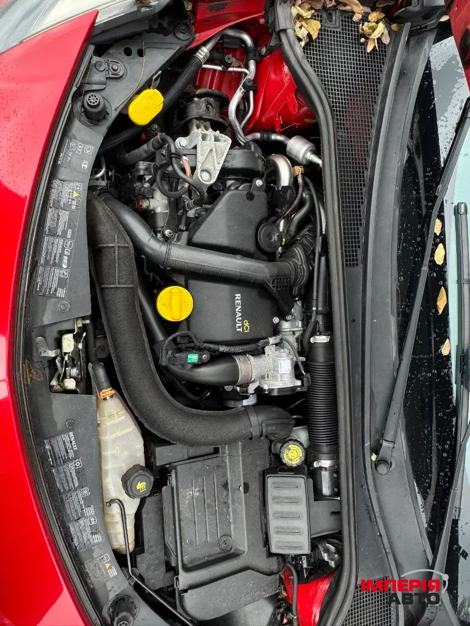 Renault Clio - фото 9